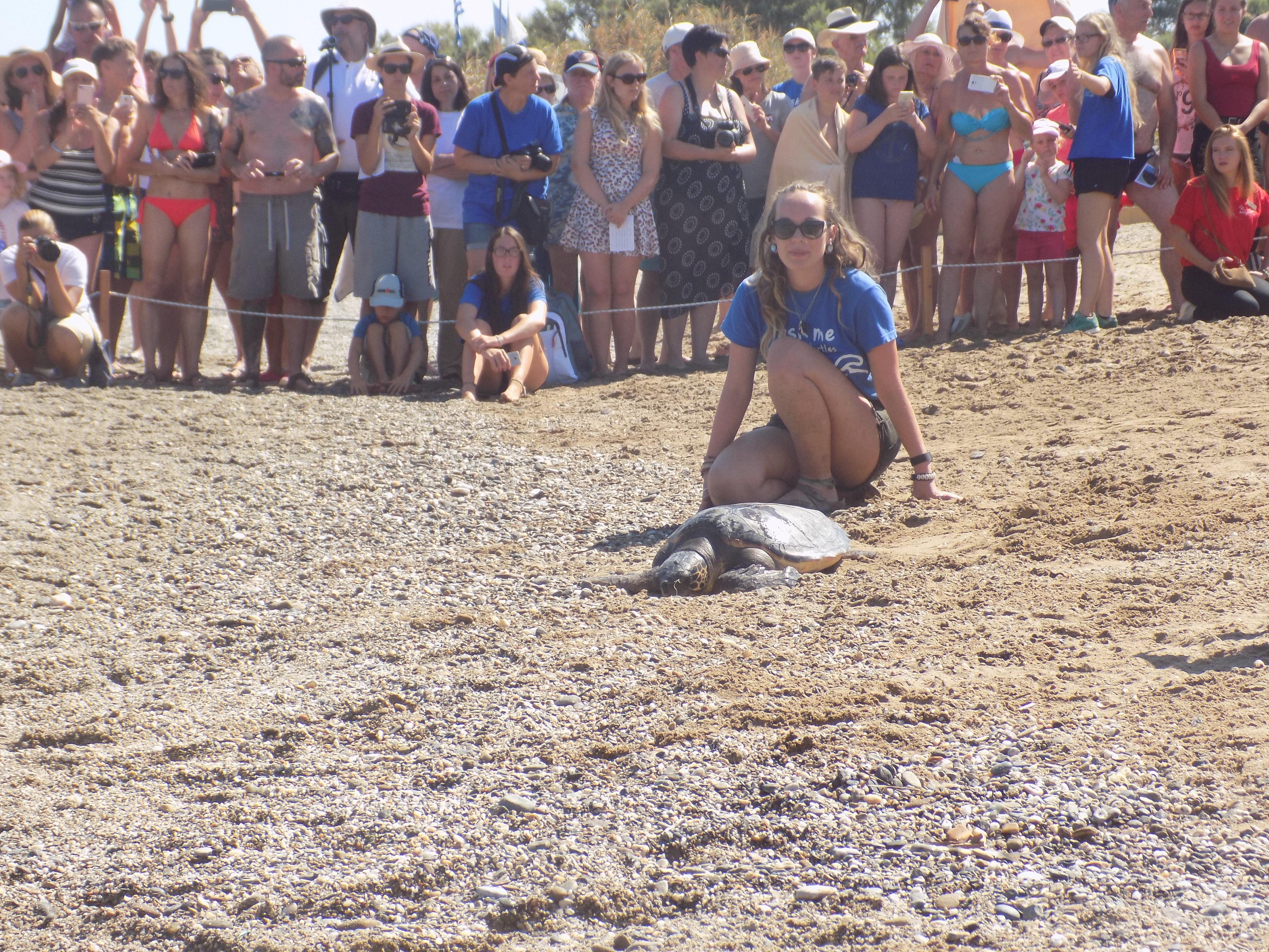 Archelon rescue