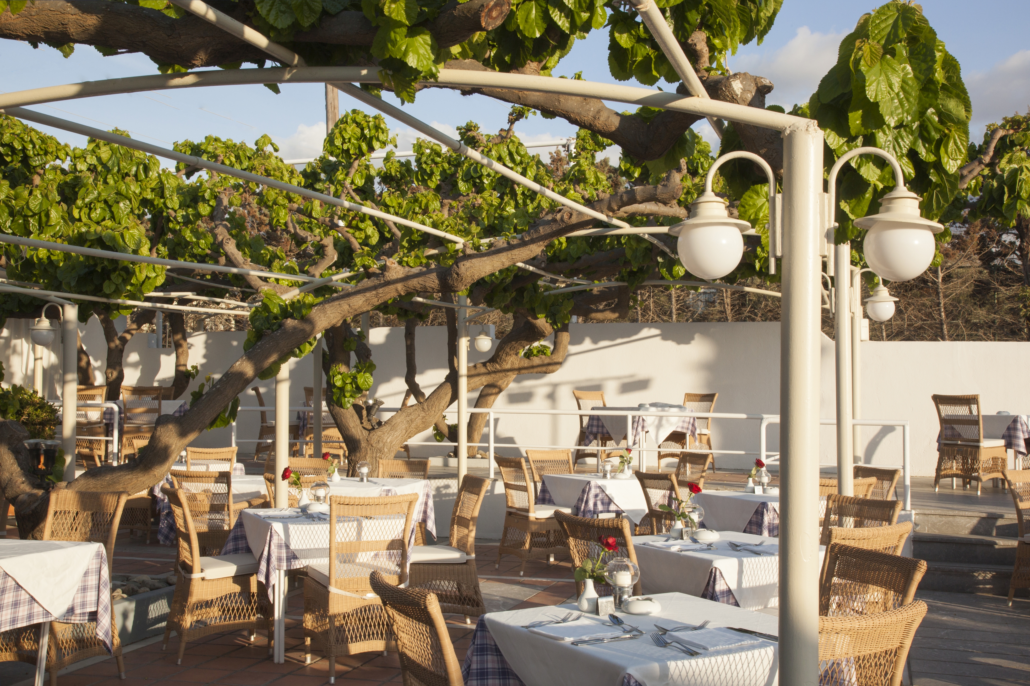 Taverna Mournies